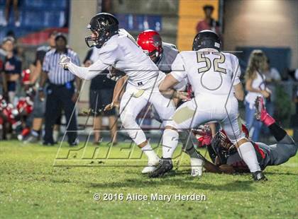 Thumbnail 1 in Mitchell @ Springstead photogallery.