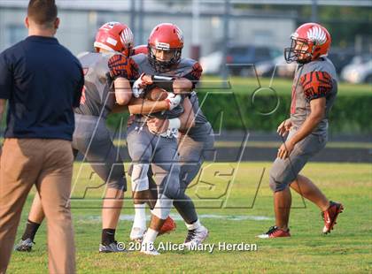 Thumbnail 2 in Mitchell @ Springstead photogallery.