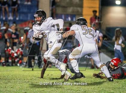 Thumbnail 3 in Mitchell @ Springstead photogallery.