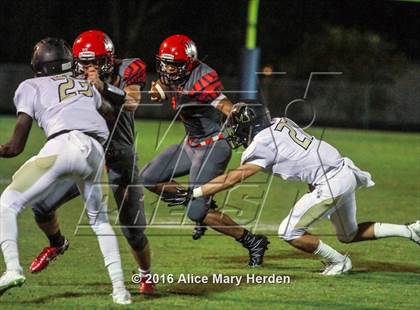 Thumbnail 1 in Mitchell @ Springstead photogallery.