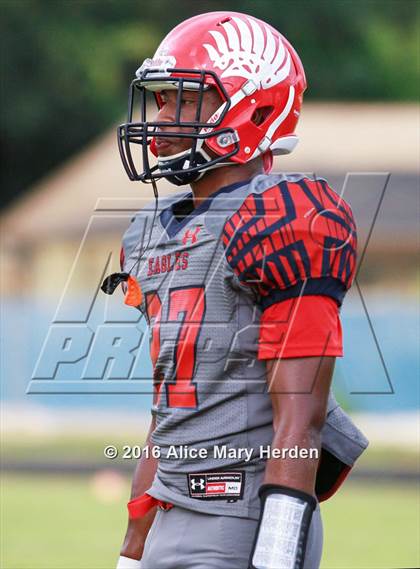 Thumbnail 3 in Mitchell @ Springstead photogallery.
