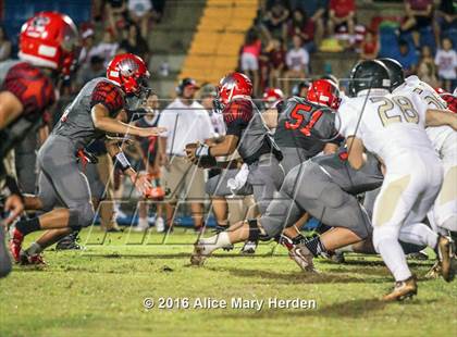Thumbnail 2 in Mitchell @ Springstead photogallery.