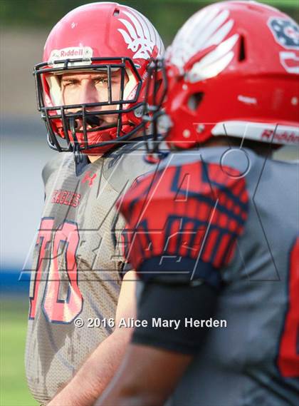Thumbnail 3 in Mitchell @ Springstead photogallery.