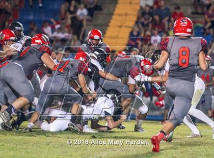 Thumbnail 1 in Mitchell @ Springstead photogallery.