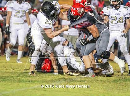 Thumbnail 2 in Mitchell @ Springstead photogallery.