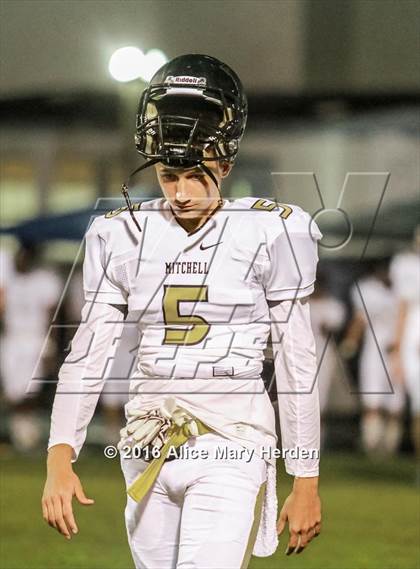 Thumbnail 3 in Mitchell @ Springstead photogallery.