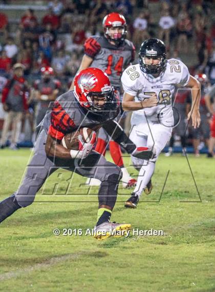 Thumbnail 1 in Mitchell @ Springstead photogallery.