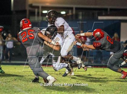 Thumbnail 1 in Mitchell @ Springstead photogallery.