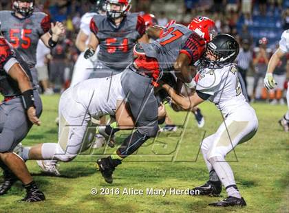 Thumbnail 2 in Mitchell @ Springstead photogallery.