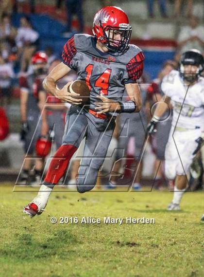 Thumbnail 3 in Mitchell @ Springstead photogallery.