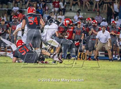 Thumbnail 2 in Mitchell @ Springstead photogallery.