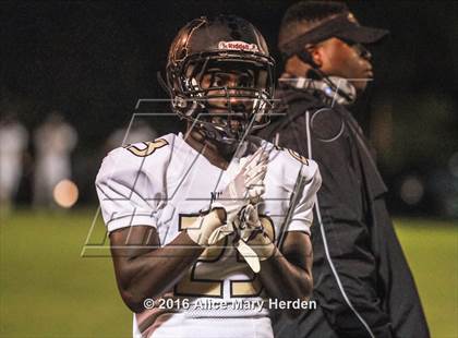 Thumbnail 1 in Mitchell @ Springstead photogallery.