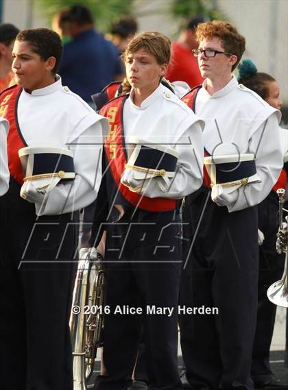 Thumbnail 2 in Mitchell @ Springstead photogallery.