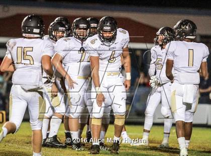 Thumbnail 1 in Mitchell @ Springstead photogallery.