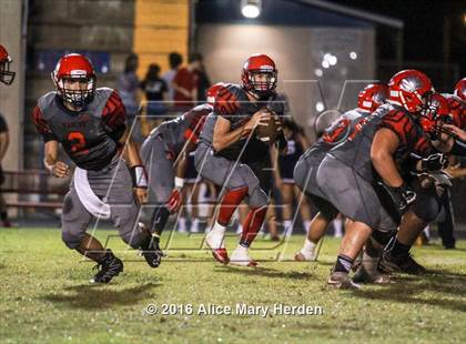 Thumbnail 2 in Mitchell @ Springstead photogallery.