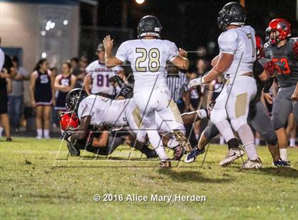 Thumbnail 2 in Mitchell @ Springstead photogallery.