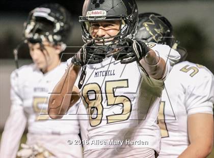 Thumbnail 1 in Mitchell @ Springstead photogallery.