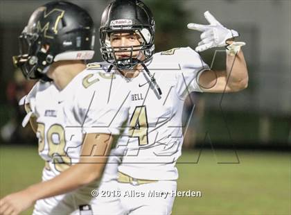 Thumbnail 1 in Mitchell @ Springstead photogallery.