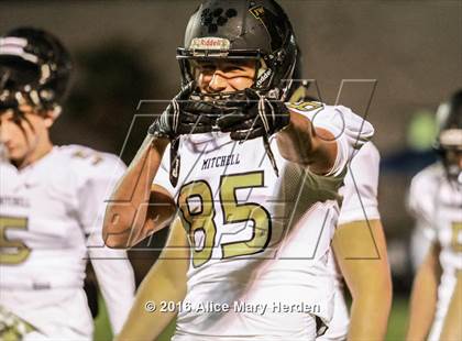 Thumbnail 3 in Mitchell @ Springstead photogallery.
