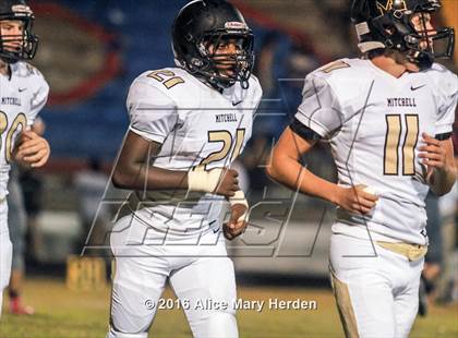 Thumbnail 1 in Mitchell @ Springstead photogallery.