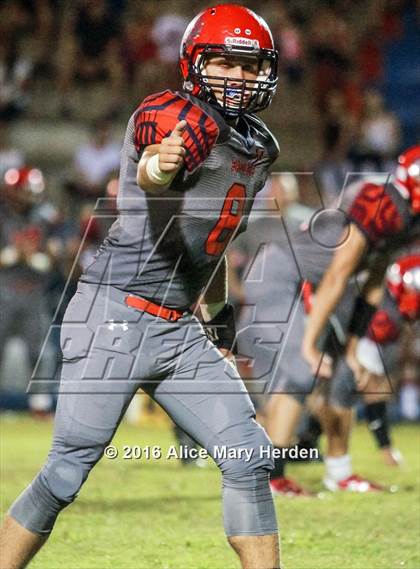 Thumbnail 3 in Mitchell @ Springstead photogallery.