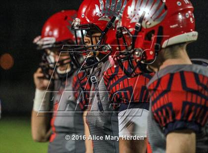 Thumbnail 1 in Mitchell @ Springstead photogallery.
