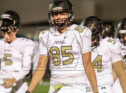 Thumbnail 2 in Mitchell @ Springstead photogallery.