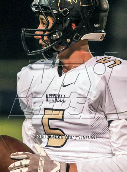 Thumbnail 3 in Mitchell @ Springstead photogallery.