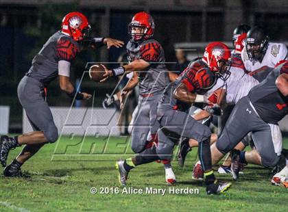 Thumbnail 1 in Mitchell @ Springstead photogallery.