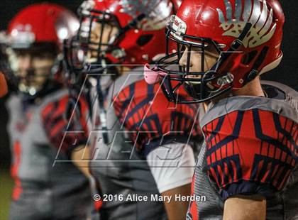 Thumbnail 2 in Mitchell @ Springstead photogallery.