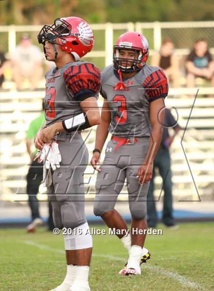 Thumbnail 2 in Mitchell @ Springstead photogallery.