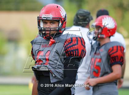 Thumbnail 2 in Mitchell @ Springstead photogallery.