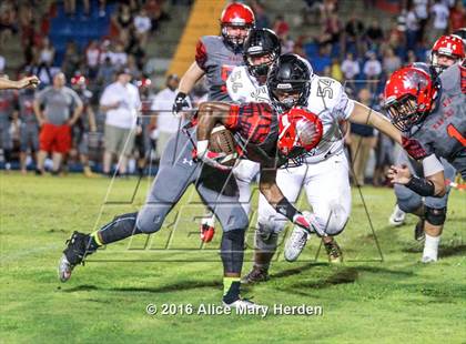 Thumbnail 1 in Mitchell @ Springstead photogallery.