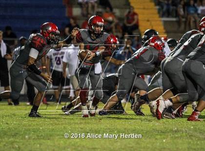 Thumbnail 3 in Mitchell @ Springstead photogallery.