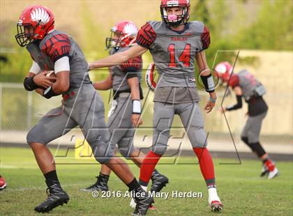 Thumbnail 2 in Mitchell @ Springstead photogallery.