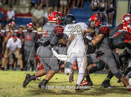 Thumbnail 1 in Mitchell @ Springstead photogallery.