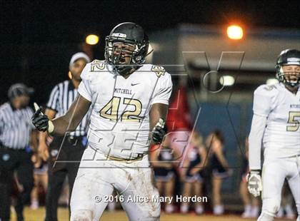 Thumbnail 3 in Mitchell @ Springstead photogallery.
