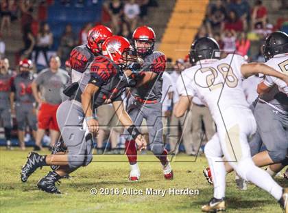 Thumbnail 1 in Mitchell @ Springstead photogallery.