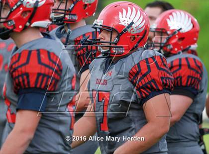 Thumbnail 1 in Mitchell @ Springstead photogallery.