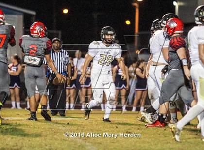 Thumbnail 3 in Mitchell @ Springstead photogallery.