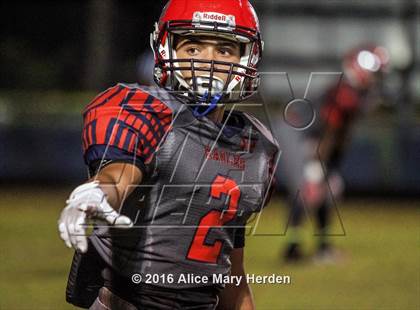 Thumbnail 1 in Mitchell @ Springstead photogallery.