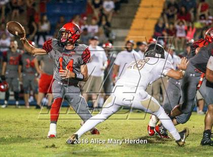 Thumbnail 2 in Mitchell @ Springstead photogallery.