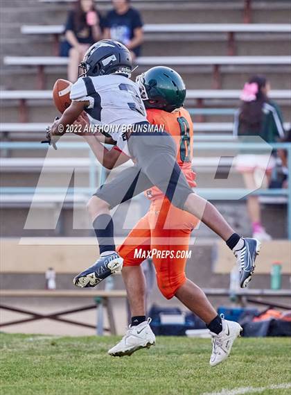 Thumbnail 3 in JV: Mesa Verde @ Pioneer photogallery.