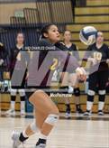 Photo from the gallery "Las Lomas @ Windsor"