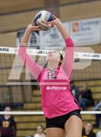 Photo from the gallery "Las Lomas @ Windsor"