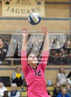 Photo from the gallery "Las Lomas @ Windsor"