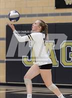 Photo from the gallery "Las Lomas @ Windsor"