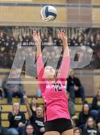 Photo from the gallery "Las Lomas @ Windsor"