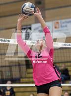 Photo from the gallery "Las Lomas @ Windsor"