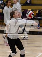 Photo from the gallery "Las Lomas @ Windsor"